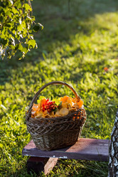 Similar image 21547003