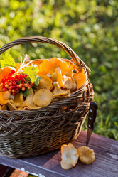 Similar image 21547004