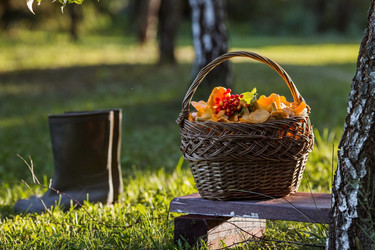 Similar image 21547005