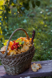 Similar image 21547006