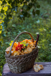 Similar image 21547007