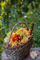 Similar image 21547008