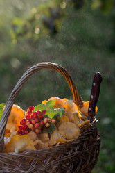 Similar image 21547009