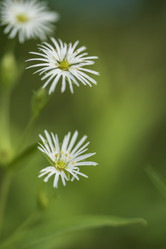 Similar image 21547991