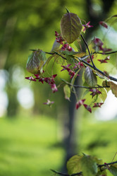 Similar image 21548035