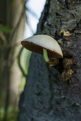 Similar image 21548036