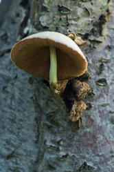 Similar image 21548037