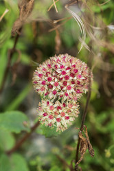 Similar image 21548143