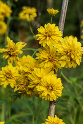 Similar image 21548145