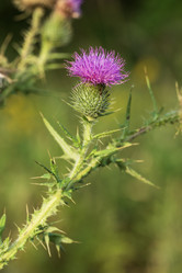 Similar image 21548146