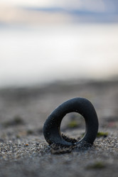 Similar image 21548149