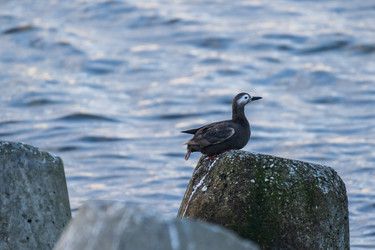 Similar image 21548152