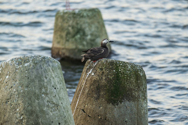 Similar image 21548156