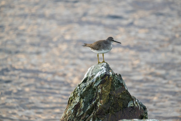 Similar image 21548157