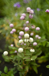 Similar image 21547397