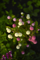 Similar image 21547398