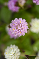 Similar image 21547401