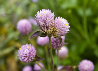 Similar image 21547402