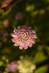 Similar image 21547404