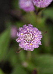 Similar image 21547405