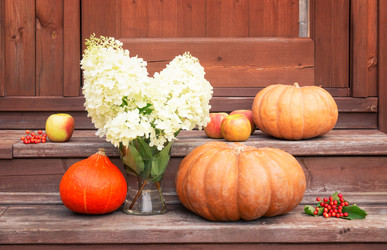 Similar image 21547927