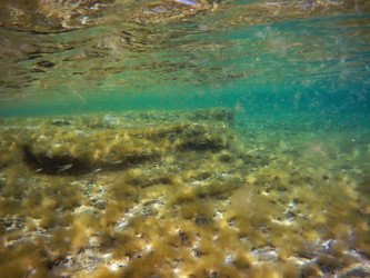 Similar image 21547819