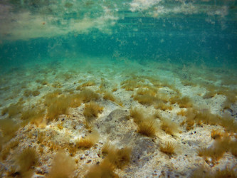 Similar image 21547821