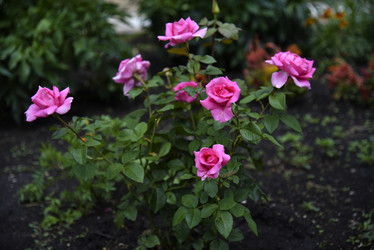 Similar image 21547935