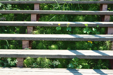 Similar image 21548522