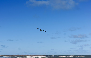 Similar image 21548523