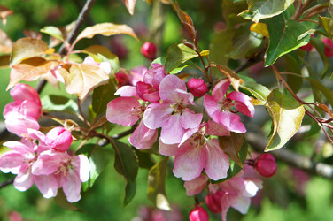 Similar image 21548525