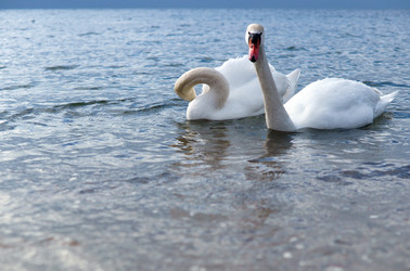 Similar image 21548526