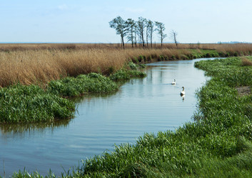 Similar image 21548528