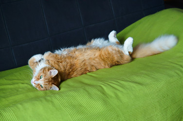 Similar image 21547993