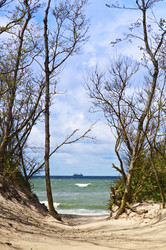 Similar image 21547996