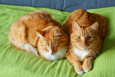 Similar image 21547997