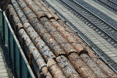 Similar image 21547999