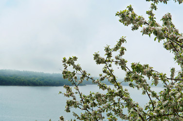 Similar image 21548004