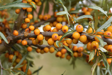 Similar image 21547965