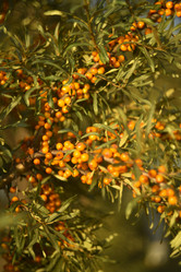 Similar image 21547966