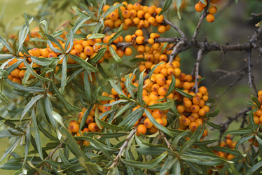 Similar image 21547967