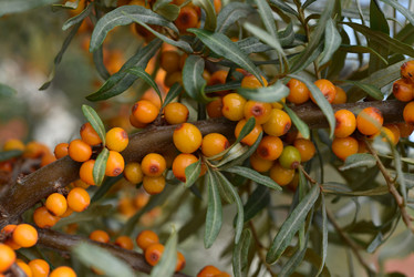 Similar image 21547968