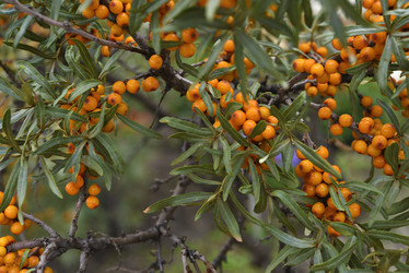 Similar image 21547969