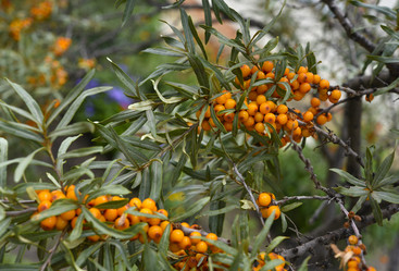 Similar image 21547970