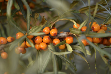 Similar image 21547971