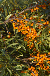 Similar image 21547972