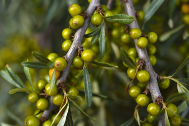 Similar image 21547973