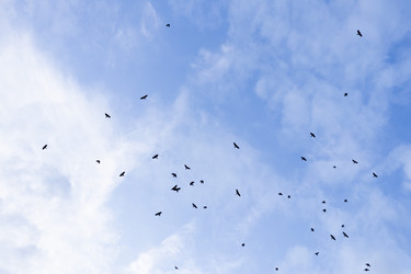 Similar image 21547823