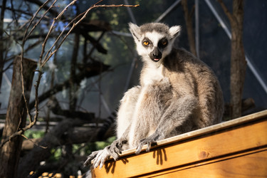 Similar image 21547826