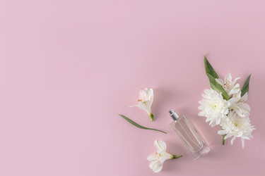 Similar image 21547834